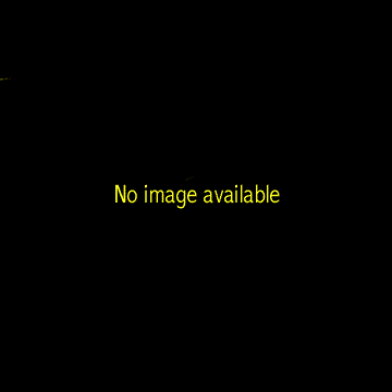 No image available for CD artwork