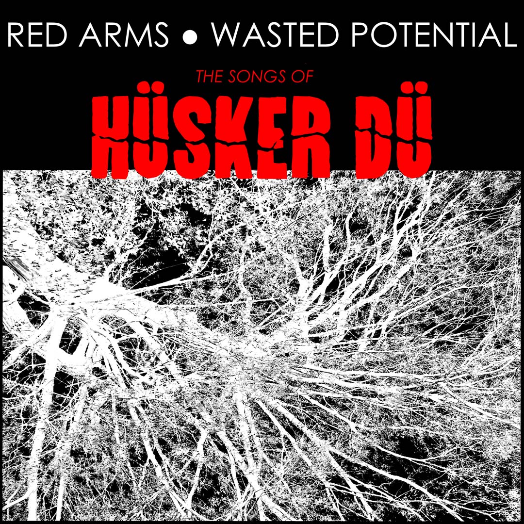 Red Arms/Wasted Potential — The Songs Of Hüsker Dü album cover art