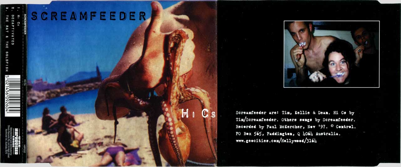 Screamfeeder — Hi Cs inlay unfolded