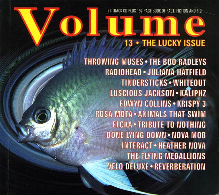 Volume 13, The Lucky Issue book front page