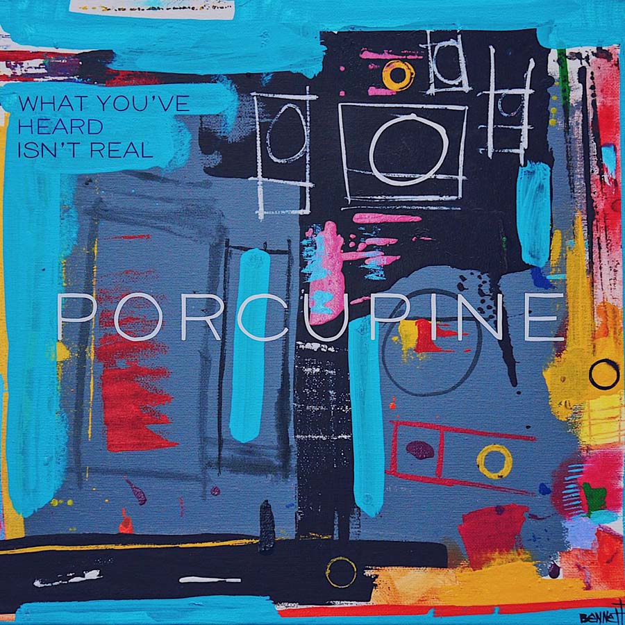 Porcupine — What You've Heard Isn't Real CD/12" front