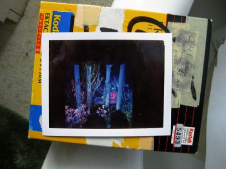 Daniel Corrigan photo: Warehouse shoot polaroid
